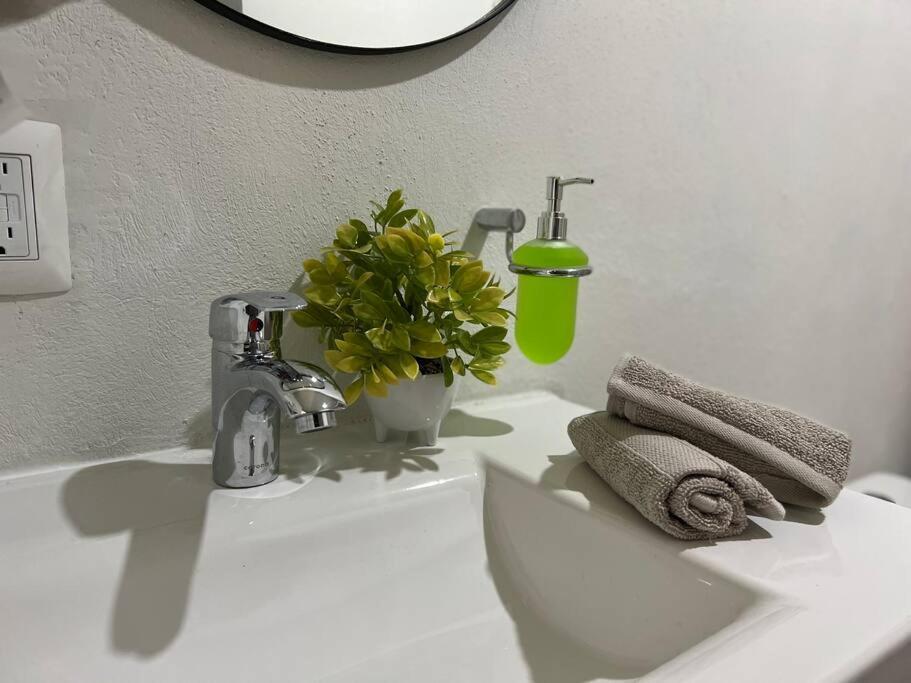 Depa Boho Al Sur Pet Friendly Piscina Gym Sala De Cine Apartment กัวดาลาฮารา ภายนอก รูปภาพ