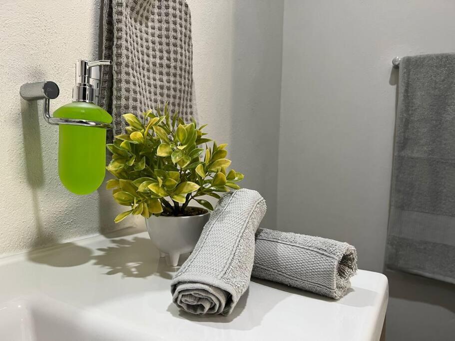 Depa Boho Al Sur Pet Friendly Piscina Gym Sala De Cine Apartment กัวดาลาฮารา ภายนอก รูปภาพ
